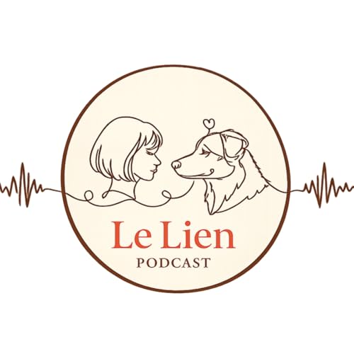 Le Lien - Podcast Titelbild