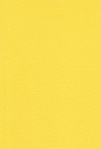 エスケント 水彩紙 マーメイド 153kg 八切 きいろ 100枚 371148