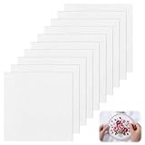 DOPENSPI 10 Stück Kreuzstich Stoff zum Sticken,Eye Mesh Stoff 20x20 cm Stickerei Tuch Weiß Kreuzstichtuch Sticken Aida Mesh Canvas Sheets Kit Cross Stitch Fabric für Stickerei DIY Handwerk