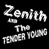 meilleures places zenith toulouse  Back at My Place