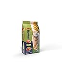 Arion Essential Adult Salmon 15kg – Pienso Completo para Perros Adultos con Salmón y Omega 3 & 6