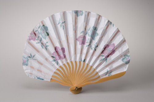 東京浅草 涼風扇子 団扇型 虹