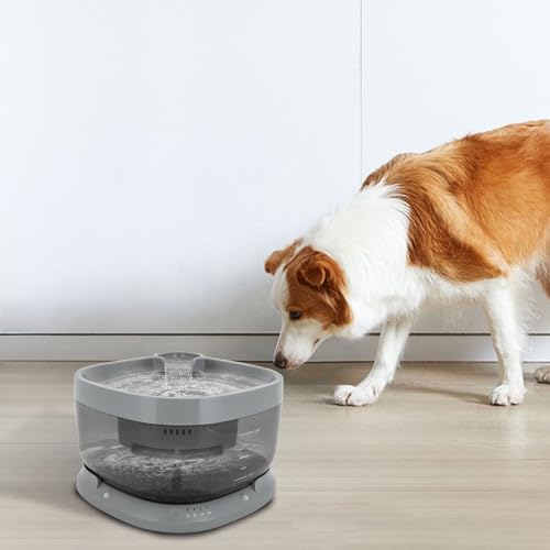Fuente de agua automática para gatos 7L batería y filtros miniatura 6