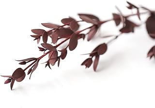 Sunnyskar 1 Bag Small Leaf and Leaves Scented Candle Wax Handmade Eternal Flower Embellished Dried Flower Branch - ( Color: 1 )