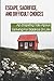 Escape, Sacrifice, And Difficult Choices: An Inspiring Tale About Striving For Balance In Life