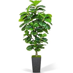 Artificial Fiddle Leaf Fig Tree 6ft, 6 Feet Large Tall Fake Plants Indoor with Modern Style Planter, Artificial Silk Tree for Home Office Living Room Decor Indoor, More Lifelike & Lush (Black)