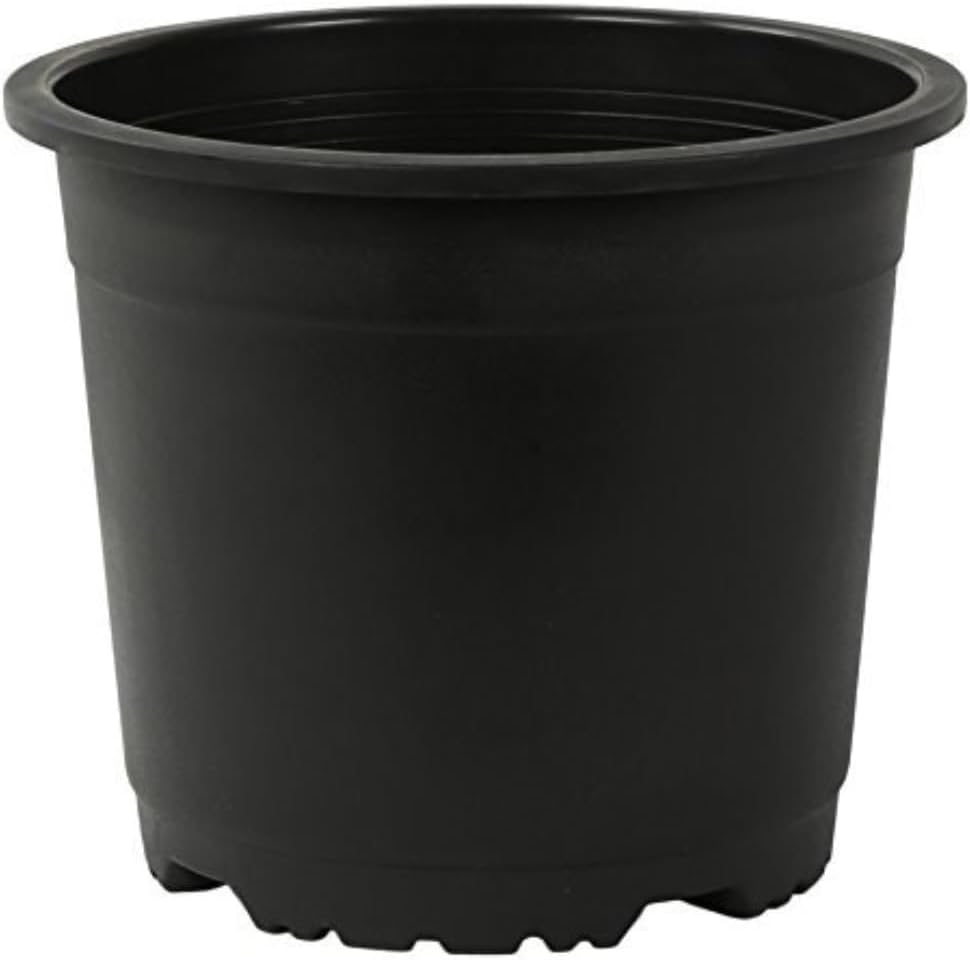 CAPPL Plastic Round Pot - Pack of 12 (Black, 9 Inch/ 22 cm)