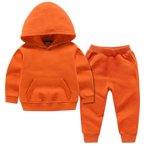 Boys Girls Hoodie and Sweatpants Set for Kids Cotton Warm Athletic Sweatsuit Toddler Baby Cute Jogger Pants 2pc Fall Outfits