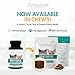 AminAvast Small Dogs & Cat Kidney Support - Promotes Healthy Kidney Support in Cats & Small Dogs - 300mg, 60 Capsule