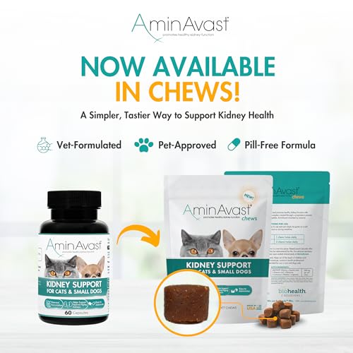 AminAvast Small Dogs & Cat Kidney Support - Promotes Health Kidney Support in Cats & Small Dogs - 300mg, 60 Capsule