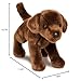 Douglas C.C. Bean Chocolate Lab Dog Plush Stuffed Animal