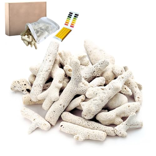 JINKEYULV Crushed Coral for Freshwater Aquarium 500g/1.1lb Substrate Aquarium Filter Media Coral for Fish Tank Bio Media with Mesh Bag Fish Tank PH/KH Balancer Stabilize Water for Fish Tank Pond