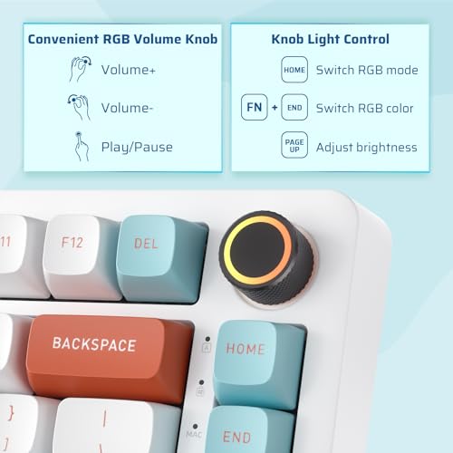 Image of LTC Nimbleback NB832 Wireless 75% Gasket Mechanical Keyboard, Tri-Mode BT5.0 /2.4G /USB-C Wired, Hot Swappable 82-Keys RGB Gaming Keyboard w /Software & 5 Layer Padding, Custom Linear Switch