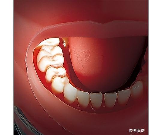 日進医療器 コードレスLED照明器 eバイト3セット 1セット