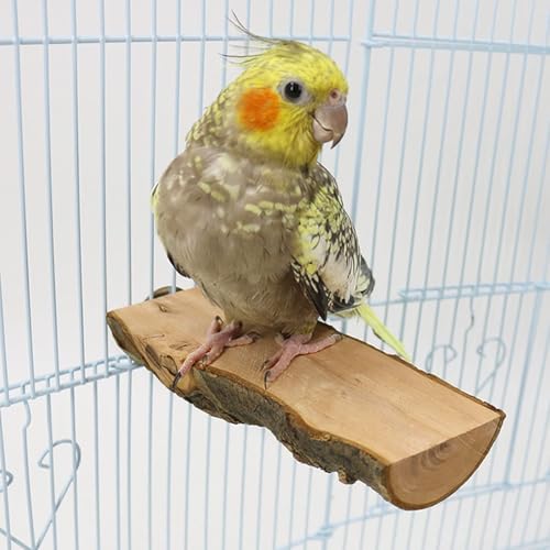 Image of Hamiledyi Wood Bird Perch 4PCS Natural Wooden Stand Platform Parrot Cage Accessories for Budgie Conure Parrot Parakeet Cockatiel Lovebird