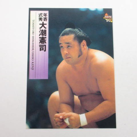 Amazon.co.jp: BBM1997大相撲カード□レギュラーカード□105/年寄/式秀