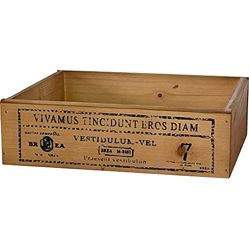 BREA-893 ؔ [{bNX  Ebh{bNX { (1ʃvg, uE)