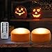 HOME MOST 2-Pack Halloween Pumpkin Lights with Remote/Timer - Orange Pumpkin Lights LED Battery Operated Halloween Decor - Halloween Jack-O-Lantern Outdoor Pumpkin Decorations - LED Lights Halloween