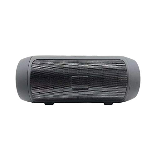 Tragbarer Bluetooth Lautsprecher, Kabelloser Lautsprecher mit Bluetooth 5.0, Dual Bass Treiber, HD Stereo Sound und Reicher Bass, Wasserdichtes IPX7