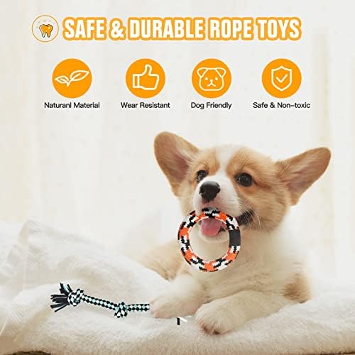 Aitmexcn Dog Toys Indestructible for Small Medium Dogs, 10 Pack Interactive Puppy Teething Toys with Natural Cotton, Tough Dog Chew Rope Toy for Play and Training