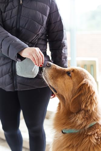 Bolsa Petisqueira 4 em 1 Mr. Toni, Azul Marinho