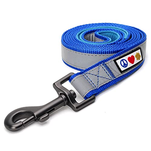 Pawtitas 6 FT Padded Dog Leash with Comfortable Neoprene Padding Handle - Blue Lead | Small Reflective Dog Leash with Highly Reflective Band Perfect for Extra Small and Small Dogs and Puppies.