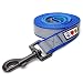 Pawtitas Reflective Dog Leash Blue, Extra Small XS/Small S 5/8 Inch Padded Dog Leash 6-ft