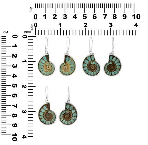 Starborn Ammonite with Turquoise Inlay Earrings in Sterling Silver - Image 6