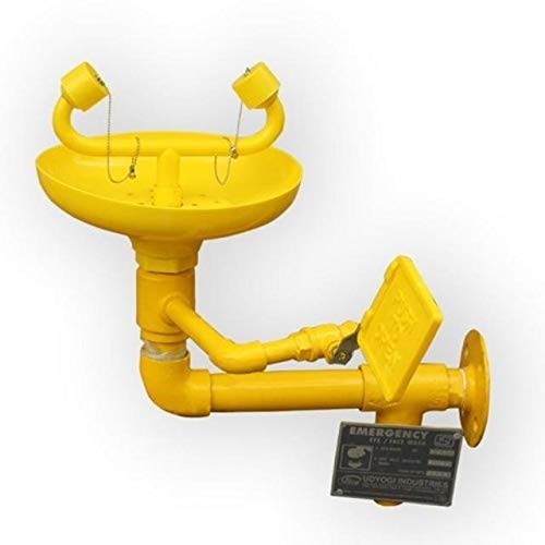 Udyogi 4810 GI Eye Wash and Safety Shower, Inlet Connection 1/2 Inch