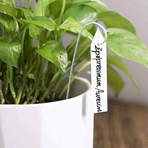 Yaeccc 1000 Pcs 4 Inches Plant Labels Plastic Plant Tags Nursery Garden Labels Pot Marker Garden Stake Tags For Fruit Trees thumb #3