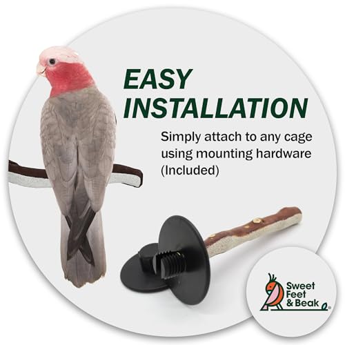 Image of Sweet Feet and Beak Manzanita Bird Perch, X-Large, Wooden Pedicure Perch | Cosmetic Grade Manzanita-Pumice Blend, Bird Cage Perch for Healthy Feet, Beak and Muscle, 14 inch Perch, Available in 5 Sizes