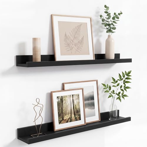 Dreamland Picture Ledge Shelf for Wall, Black Floating Shelves,24 inch Long Floating Shelves with Lip for Living Room,Bedroom,Bathroom,Kitchen,Set of 2