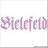 PREMIUM-Hochleistungs-Folie, ca. 7-10 Jahre UV-beständig im Außenbereich, lt. Angabe des Folienherstellers, ohne Hintergrund, durchgefärbt, witterungsbeständig, waschstrassenfest