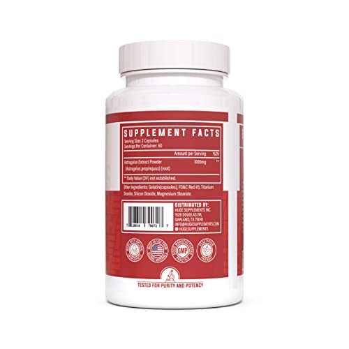 Huge Supplements Astragalus Propinquus Root Extract, 1000Mg Per Serving, Boost Immune System And Promote Overall Health - Non-Gmo, Vegan, Gluten-Free (120 Capsules) #TOP1