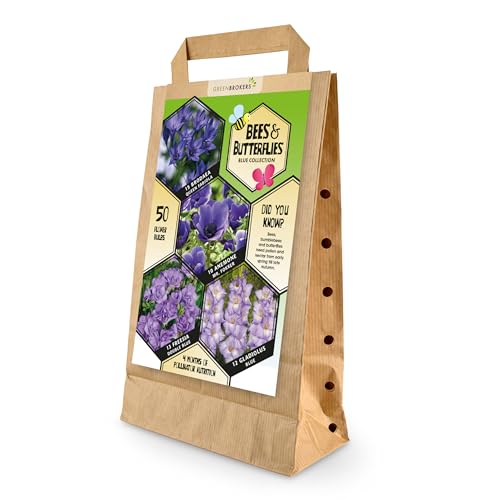 50 Bee & Butterfly Summer Bulb Collection | Blue Bulb Varieties | Eco Packaging | Plant Now Ready to Bloom in Summer