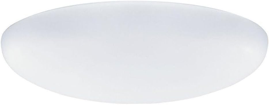Lithonia Lighting DFMR19 M6 Diffuser for 19-Inch Low Profile Round Fluorescent Flush Mount , White