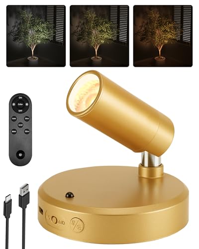 Image of EZVALO LED Spotlight Indoor, 5500mAh Rechargeable Battery-Powered Picture Lights, Wireless Mini Art Accent Spotlights with Remote, Uplighting for Plants, Display, Artwork (1-Pack-Gold)