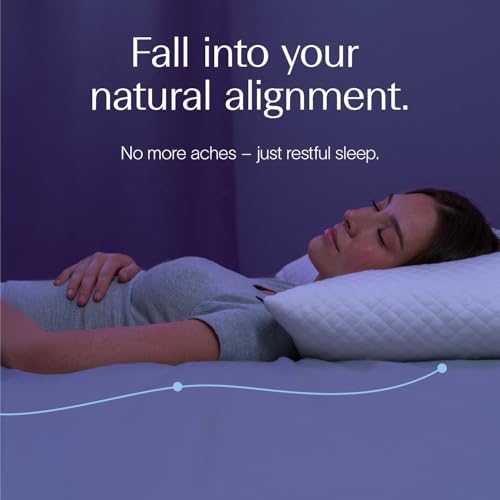 Best Mattress for Side and Stomach Sleepers with Back Pain (2026 Guide) 22 DreamyBlue Signature Pillow w/Adjustable Loft • Shredded Memory Foam Fill • Neutral Alignment for Side, Back, and Stomach Sleepers • Washable Bamboo Rayon Cover • CertiPUR-US Certified Foam (Queen)