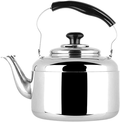 Bouilloire à sifflet en acier inoxydable 5L pour induction et gaz durable