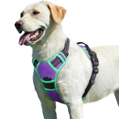 Image of Eagloo Dog Harness for Large Dogs, No Pull Pet Vest with 2 Leash Clips