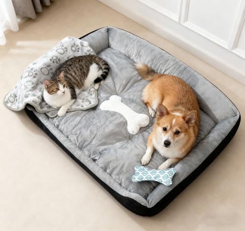 Truevaste Hundebett 90x70cm mit Kleine Hundekissen in Knochenform & Leichte Decke,Weiches Hundesofa aus Kurzhaar-Flausch für Mittelgroße Hunde,Waschbar Hundekorb,Hundekörbchen mit Rutschfester Boden