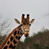 Photo Gallery lily the queen of poop and farts