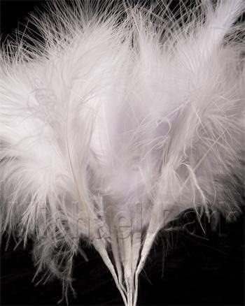 6 White Fluff Feathers (3 feathers per stem)