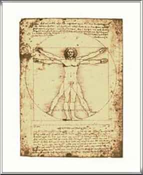 ウィトルウィウス的人間 レオナルドダヴィンチ　オブジェ ウィトルウィウス的人体図 - Wikipedia