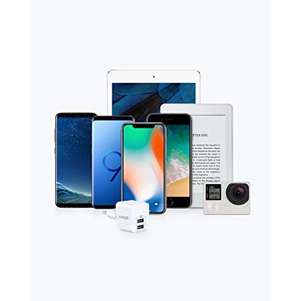 Anker PowerPort Mini Duales Wandladegerät 2 pack Extrem kompaktes USB-Ladegerät 2 5A Leistung für iPhone XS XS Max XR X 8 7 6 Plus iPad Pro Air 2 Mini 4 Samsung und viele mehr