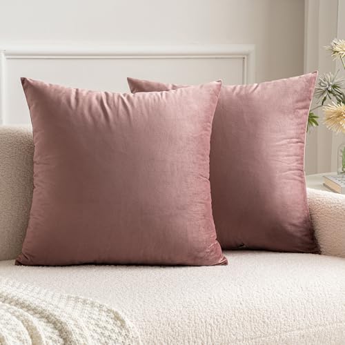 MIULEE Cuscini Arredo Divano Copricuscini Camera da Letto Federe Arredamento Casa Moderni Elegante Morbido Resistente in Velluto con la Cerniera Invisibile 2 Pezzi Marrone Rosa 40X40 CM