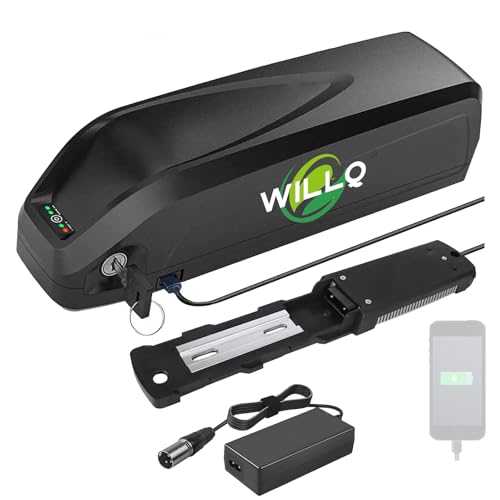 WILLQ Batería Litio 48V 13Ah 15Ah 17,5Ah 20Ah para Bicicleta eléctrica o Scooter con BMS, Pantalla LED y Bloqueo Seguro. Compatible con ciclomotores Plegables 250W a 1000W,S039 3 48v15ah