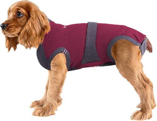 MAXX Recovery Suit for Dogs | E Collar/Cone of Shame Alternative (XL, Ruby Red Grey)