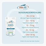 Joints Elements für Hunde I Mit Glucosamin, Chondroitin, MSM & Kollagen I Ohne künstliche Zusätze (Large ab 25 kg) – Bild 5