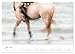 Horses Gone by the Wind (Desk Calendar 2026 DIN A5 Landscape), CALVENDO Monthly Calendar: Poetic and Artistic Horse Photography